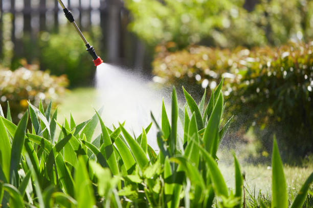 Tamper-Resistant Bait Stations for Rodents in Maysville