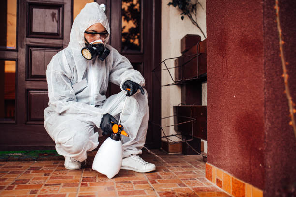 Attic and Crawl Space Rodent Treatment in Maysville